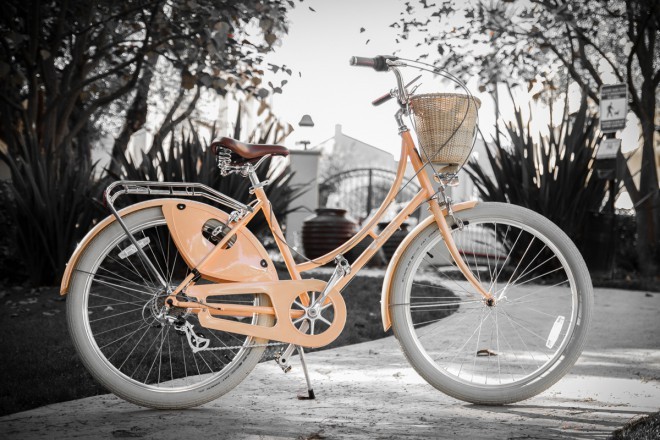 Lovely The Dreamer. Photo: Peace Bicycles.