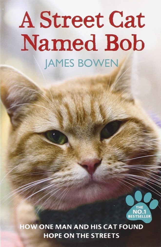 James Bowen - Potepuški maček Bob