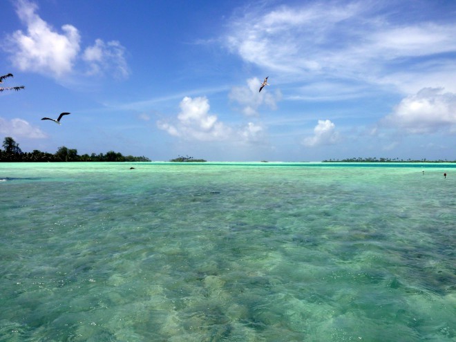 Palymra Atoll, preklet paradiž.