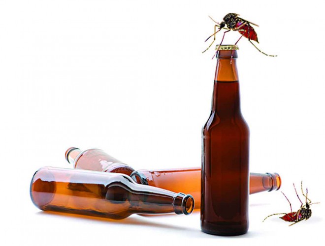 Le zanzare sono particolarmente affezionate ai bevitori di birra.