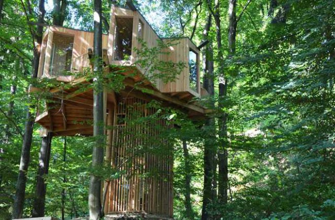 Med krošnjami v celjskem Mestnem gozdu po novem najdemo tudi pravo drevesno rezidenco.