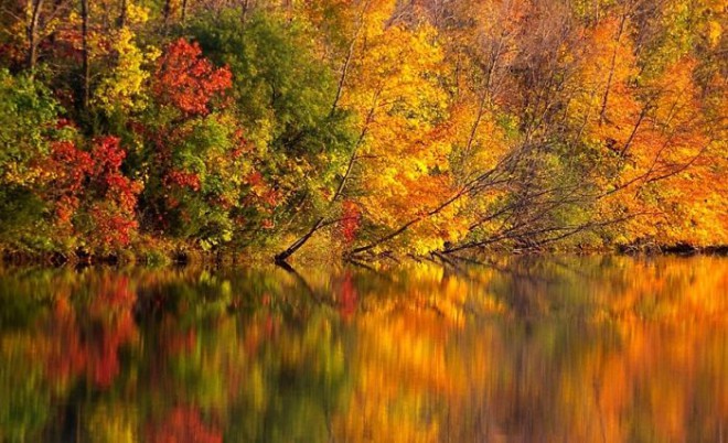 No outono, a natureza tem mais tons que o Photoshop.