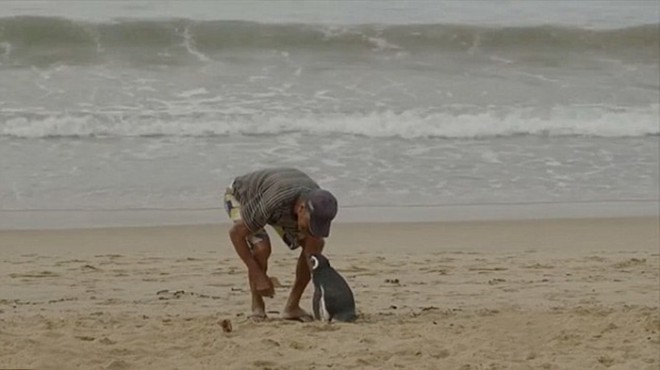 Dindim in de Souza med potepom po plaži.