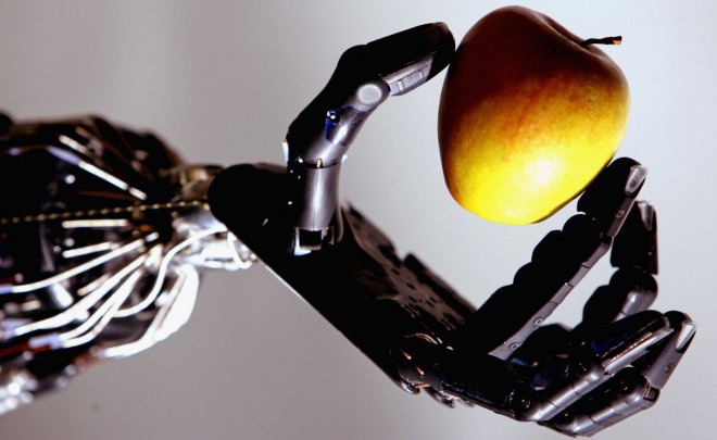 I robot si ribelleranno perché imporremo loro lavori difficili e pericolosi?
