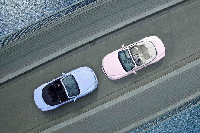Bentley in 2016 colors - Rose Quartz and Serenity.