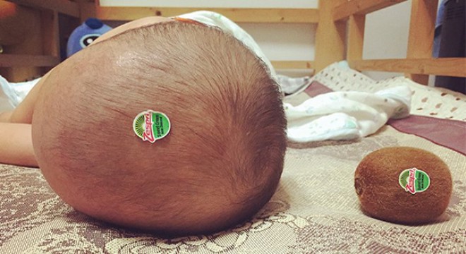 Aber vielleicht ist es für Männer besser, zumindest im ersten Lebensjahr die Kindererziehung den Frauen zu überlassen.