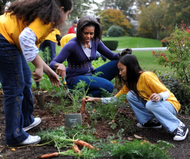 Michelle Obama pravi, da ne bo dopustila uničenja zelenjavnega vrta,  ki ga je zasadila na zelenici Bele hiše.