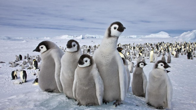 南極はもっと寒いです。 