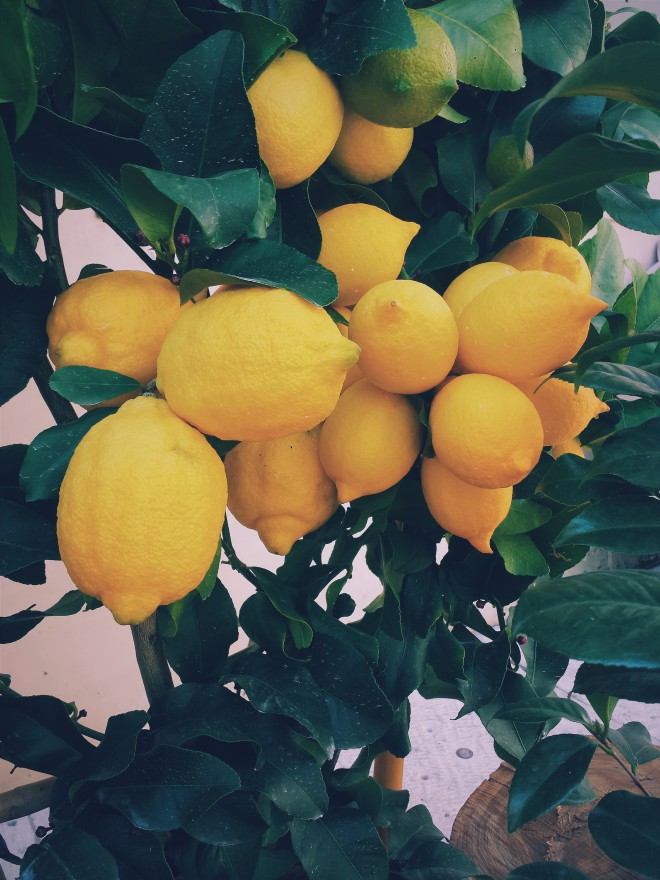 Zitrone enthält Zitronensäure, die als natürliches Bleichmittel gilt.