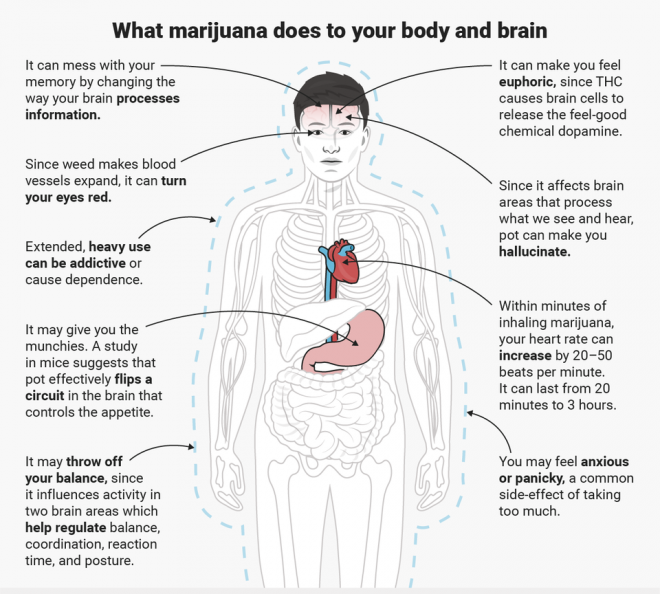 Kaj marihuana stori z vašim telesom in možgani