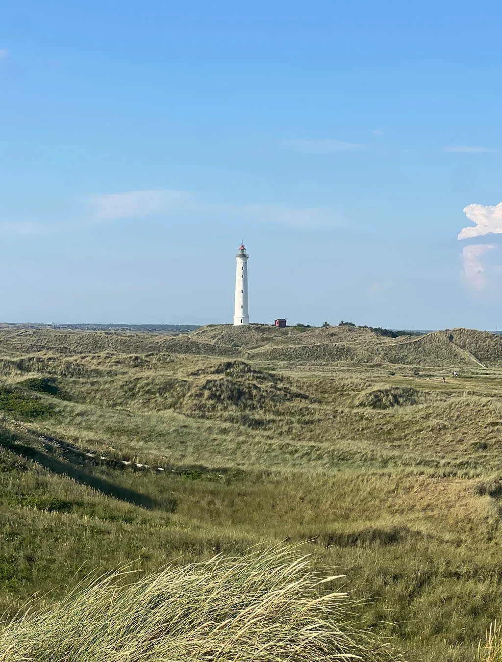 12-dnevni roadtrip po Skandinaviji: Danska in zahodna obala Švedske z overland vozilom
