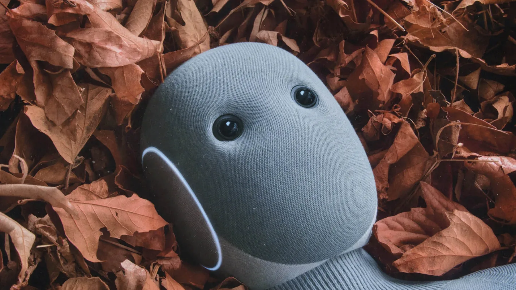 1X Neo: humanoidni robot, ki želi postati del vaše družine