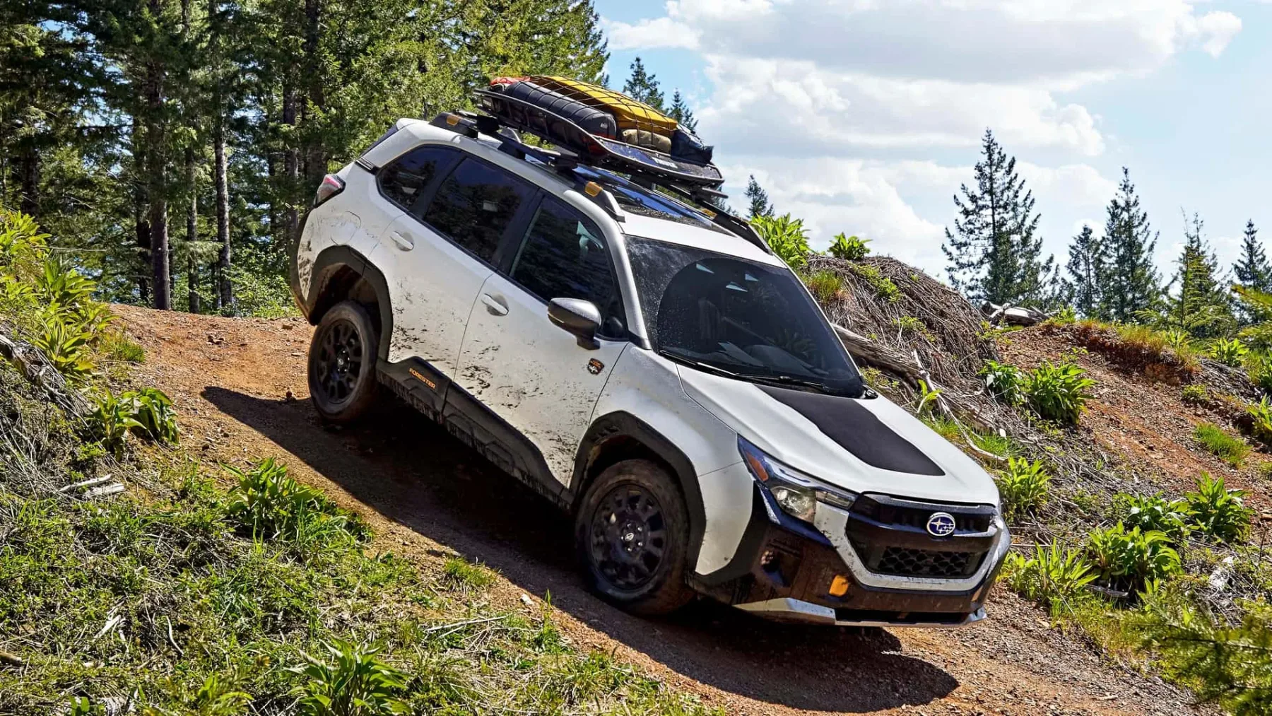 2025 Subaru Forester Hybrid: Subarujev prvi hibridni SUV je tu!