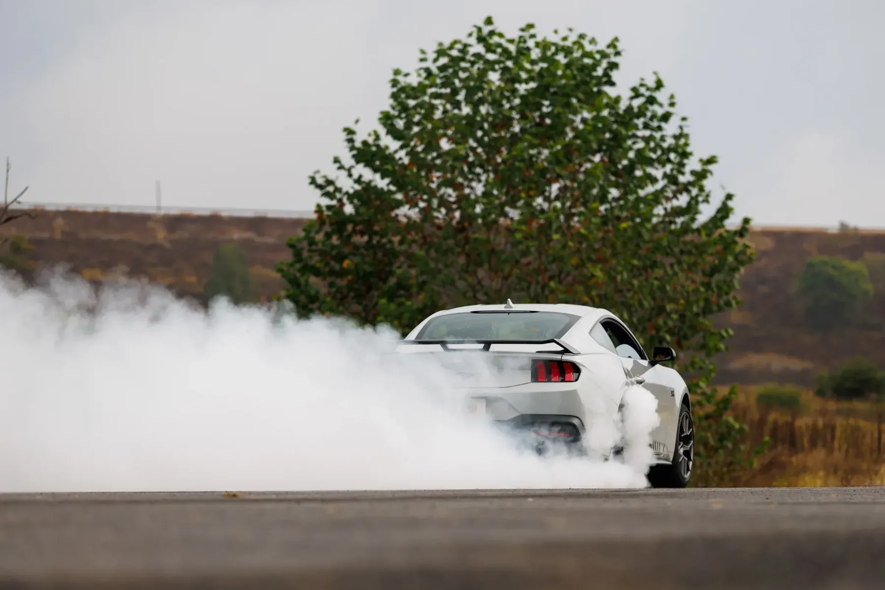 2026 Ford Mustang EcoBoost RTR: Drsni kralj iz tovarne, ki obljublja kaos