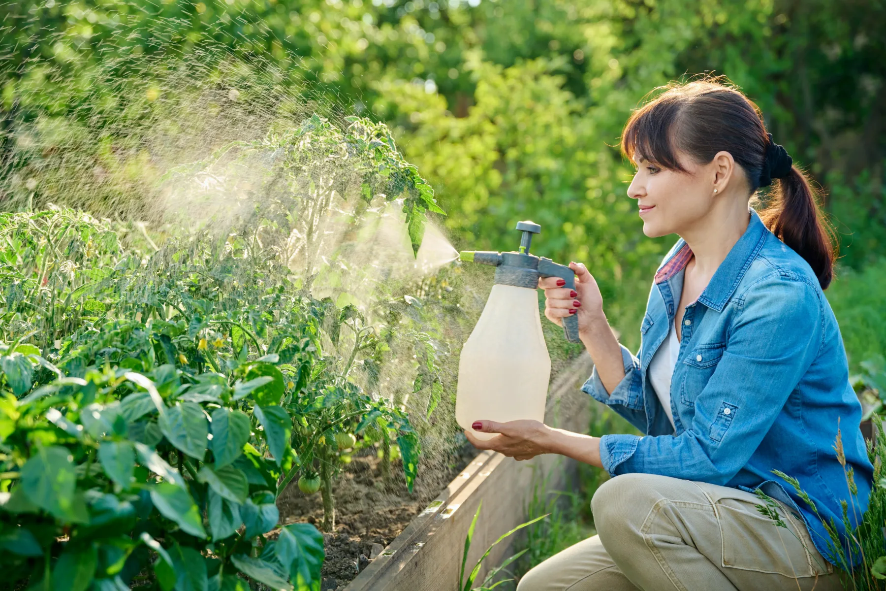 3 doma narejena škropiva proti ušem, pršicam in gosenicam – naravna zaščita za vaš vrt, brez pesticidov!