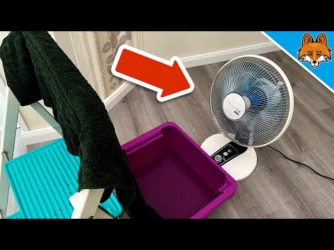 3 enostavni načini, kako ventilator spremenite v učinkovito klimatsko napravo