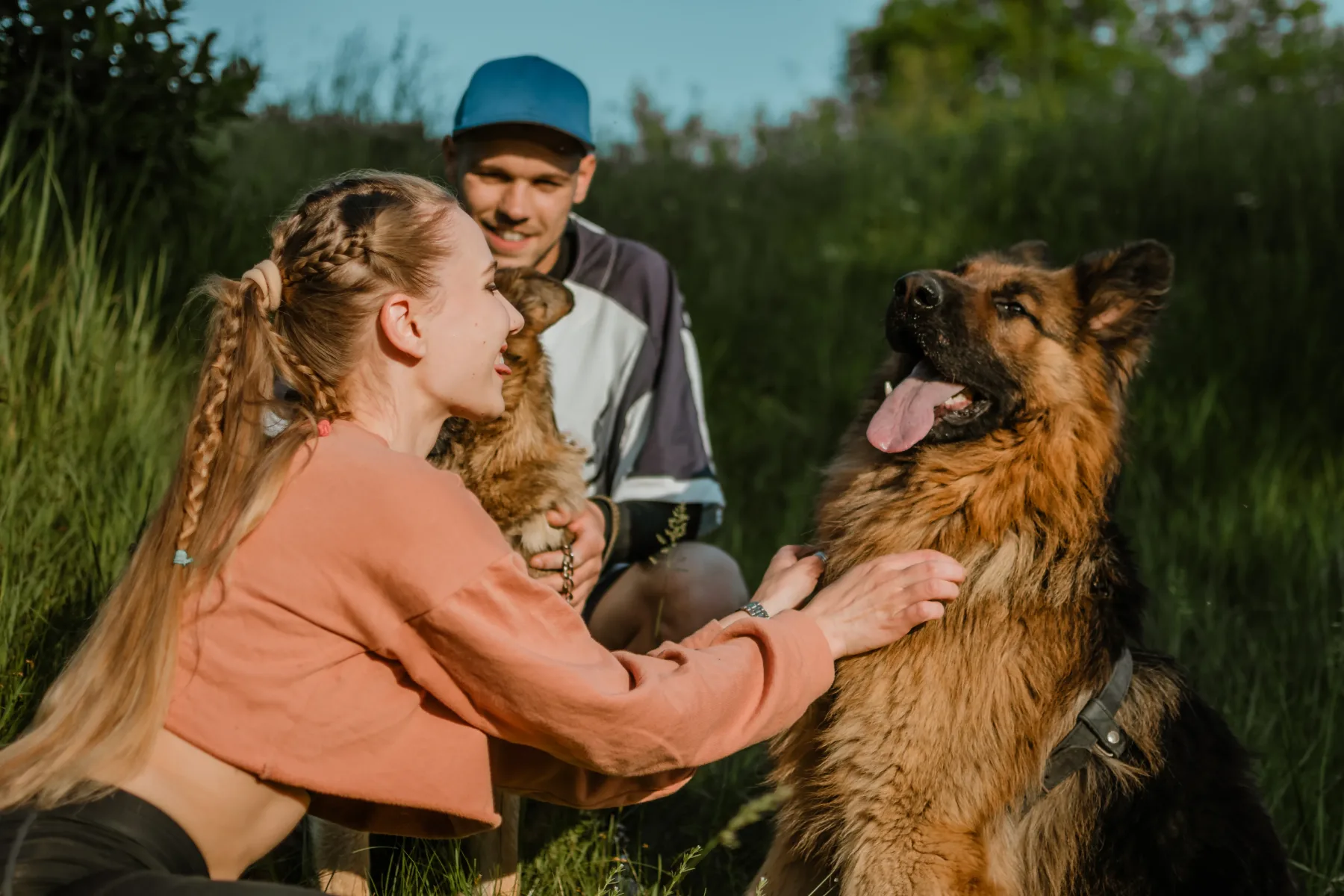 3 pasme psov, ki so idealne za družine – nežne, zveste in obožujejo otroke