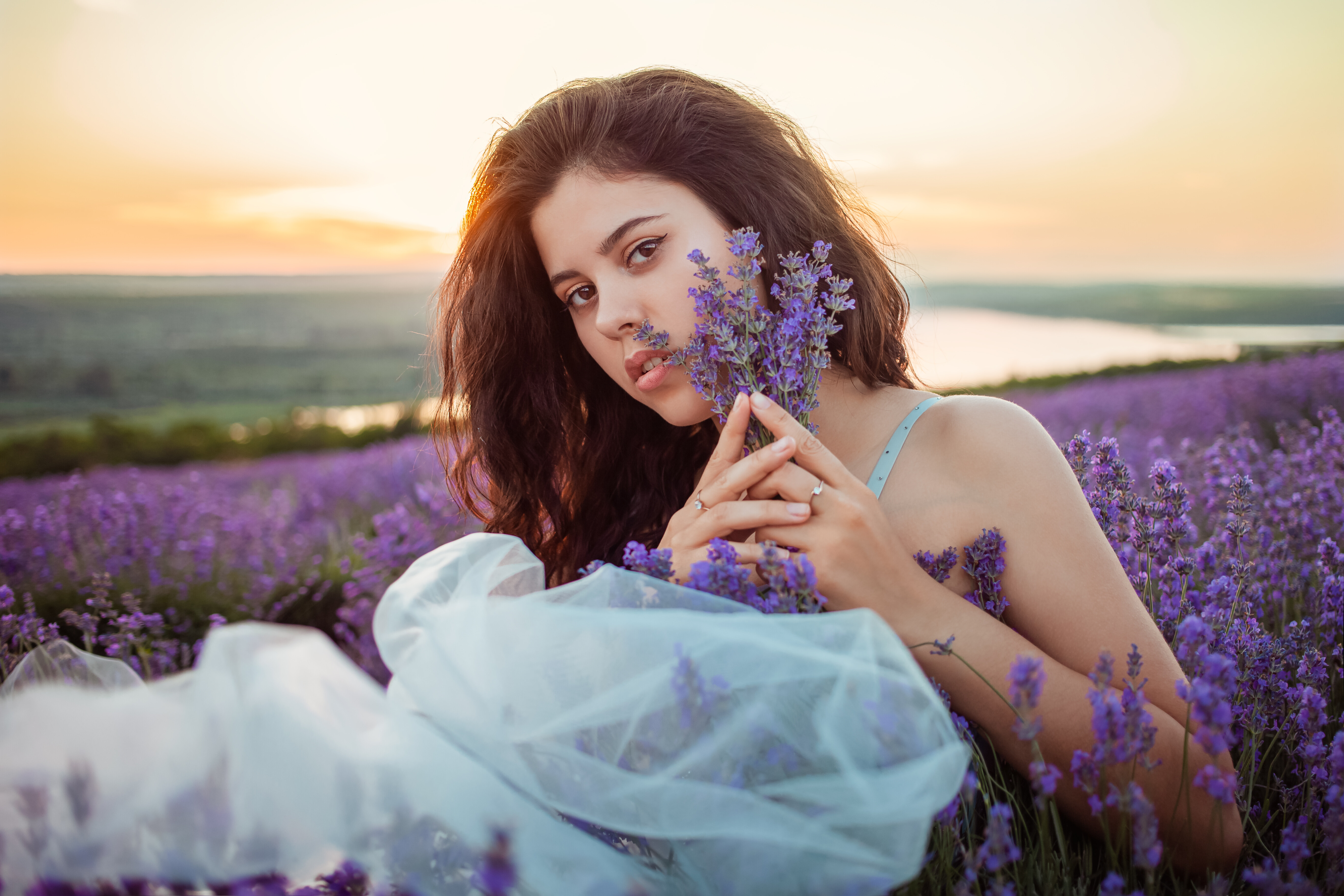 5 zdravstvenih tegob, ki jih lahko odpravite s sivko: od menstrualnih težav do izpadanja las