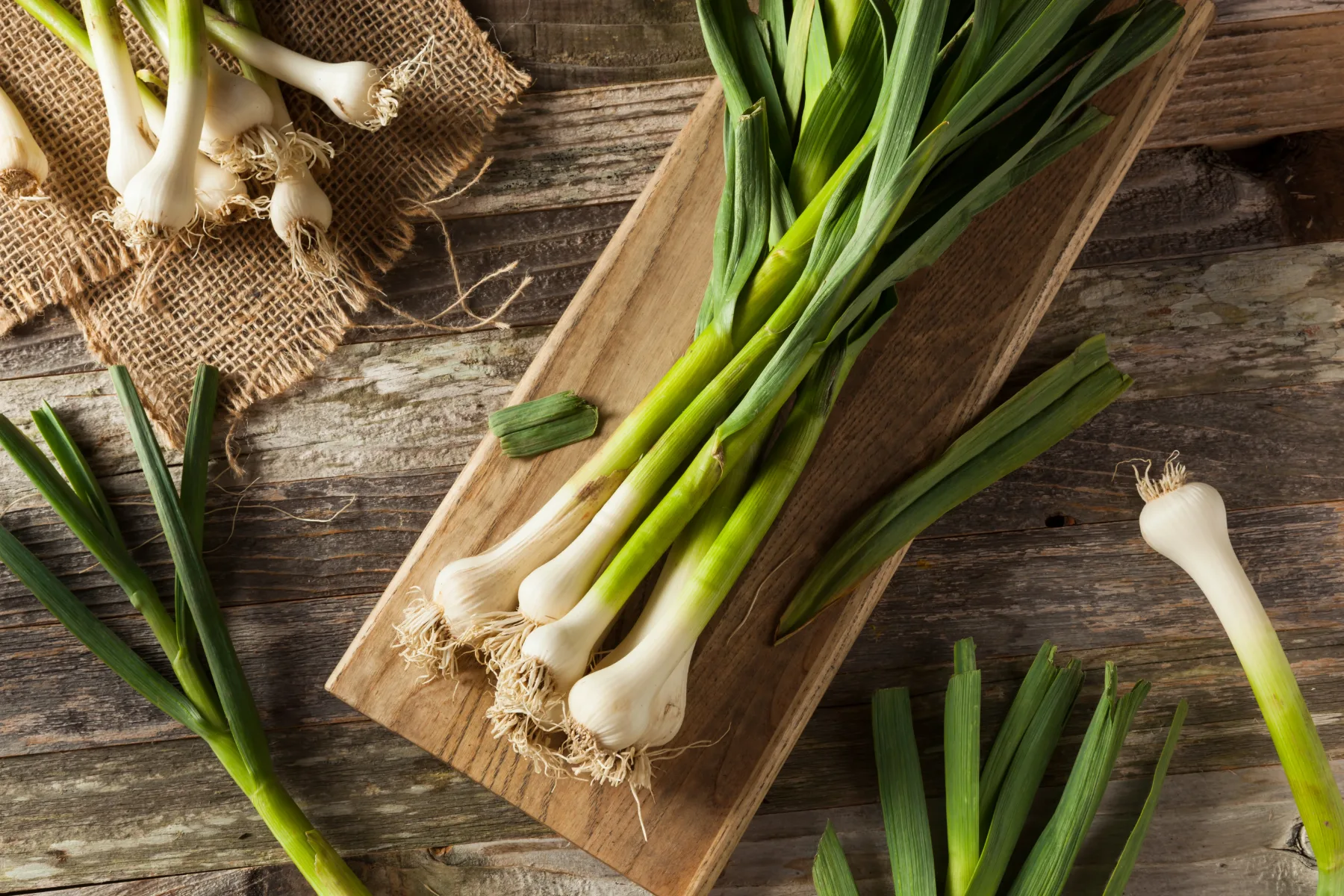 7 aromatičnih zelišč, ki odlično uspevajo v vodi – za urbane vrtičkarje z dišečim vrtičkom v kozarcu