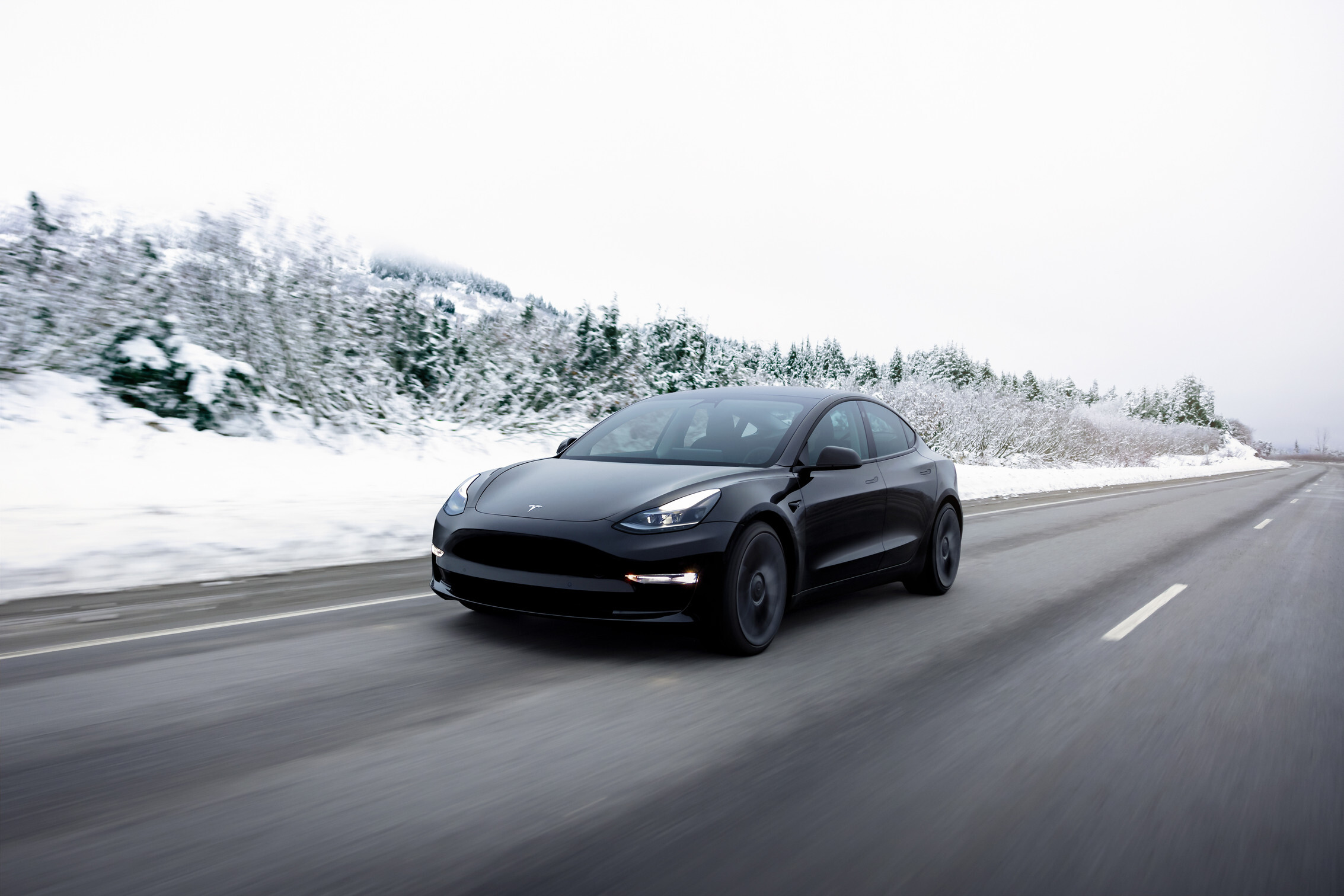 Bizarno znižanje cen vozil Tesla: Teslin in Muskov odgovor na posmehovanje medijev