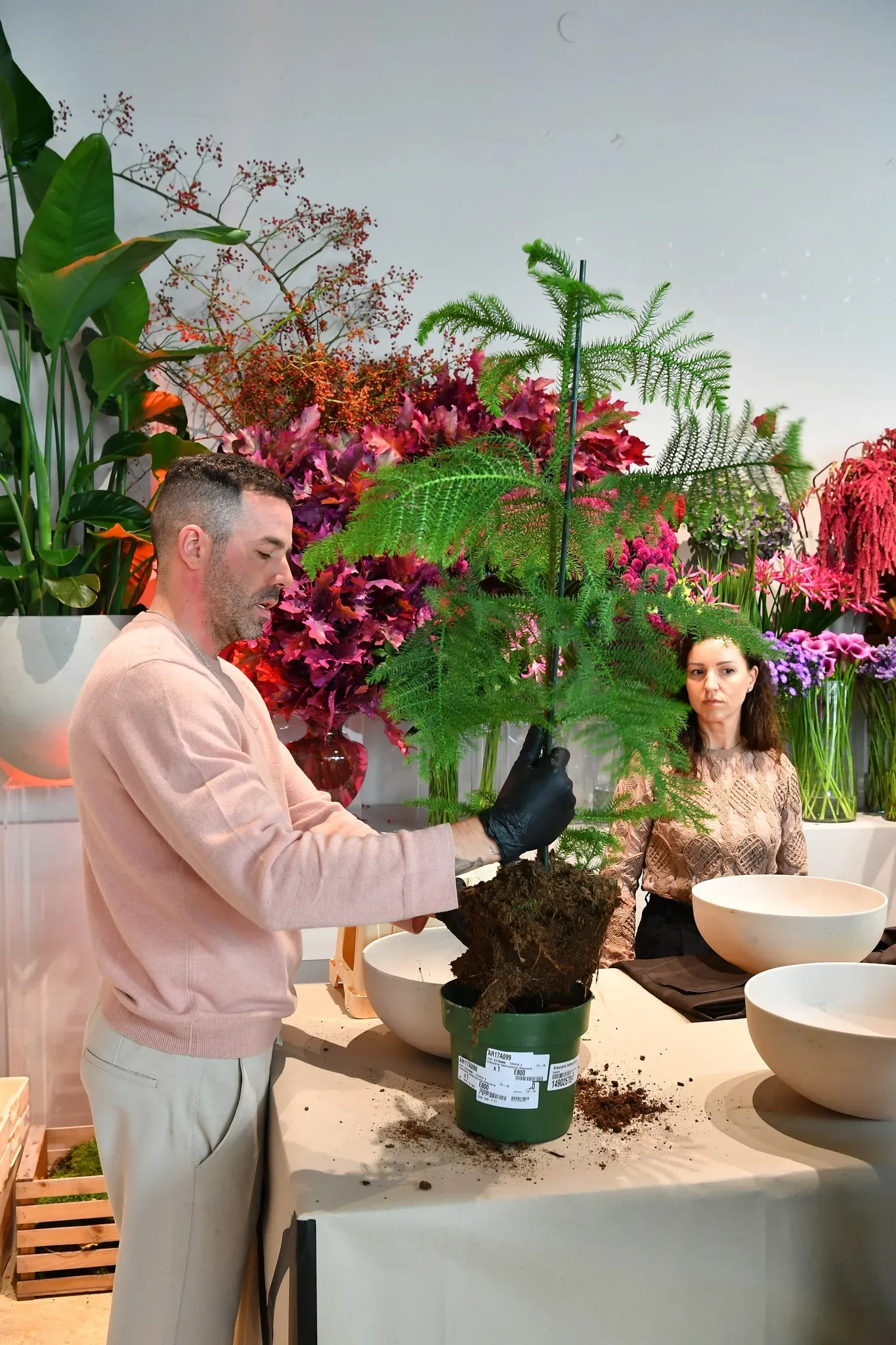 Bloom & Balance by Xiaomi: Spoj tehnologije, narave in ravnovesja