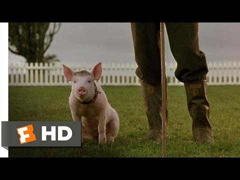 Filmi, ki jih morajo vaši otroci videti preden dopolnijo 13 let