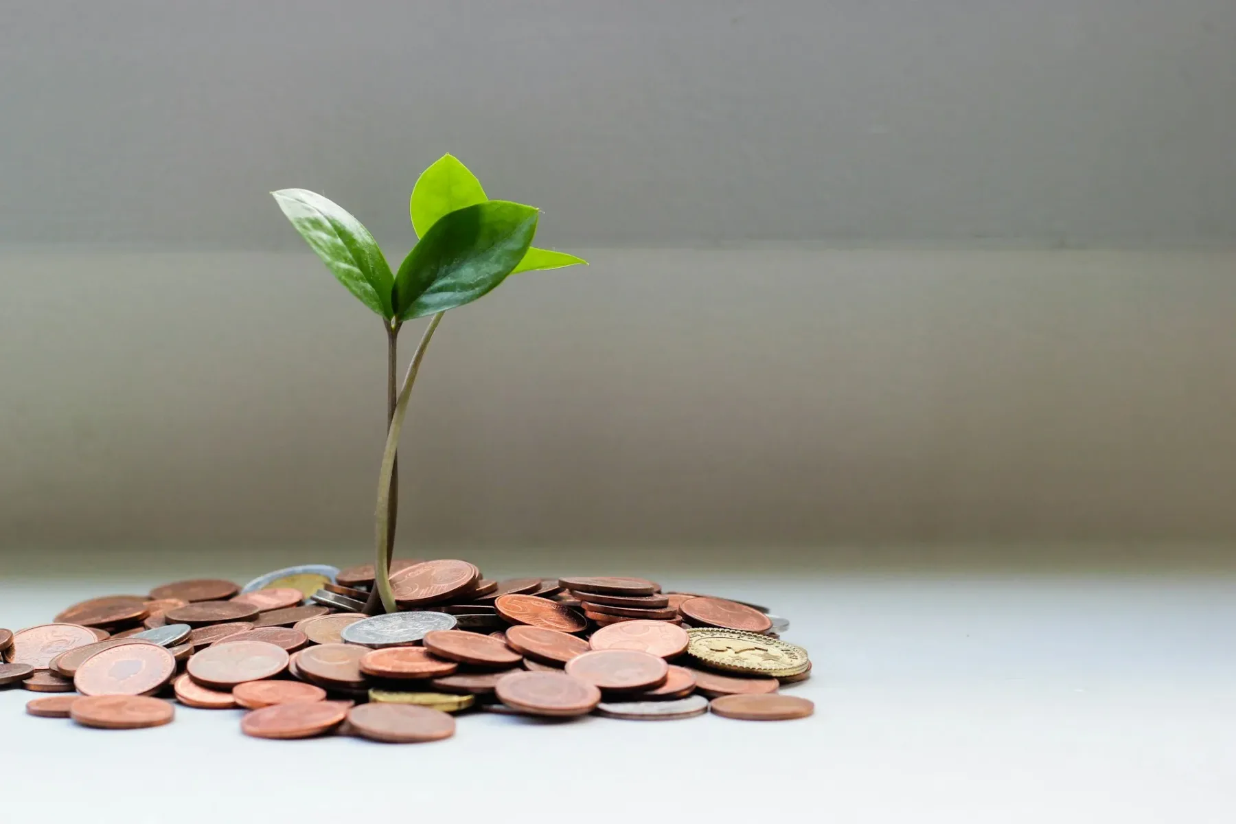Finančni horoskop februar 2026: 3 znamenja bodo imela »denarni preboj«, 3 pa nevarno luknjo v proračunu