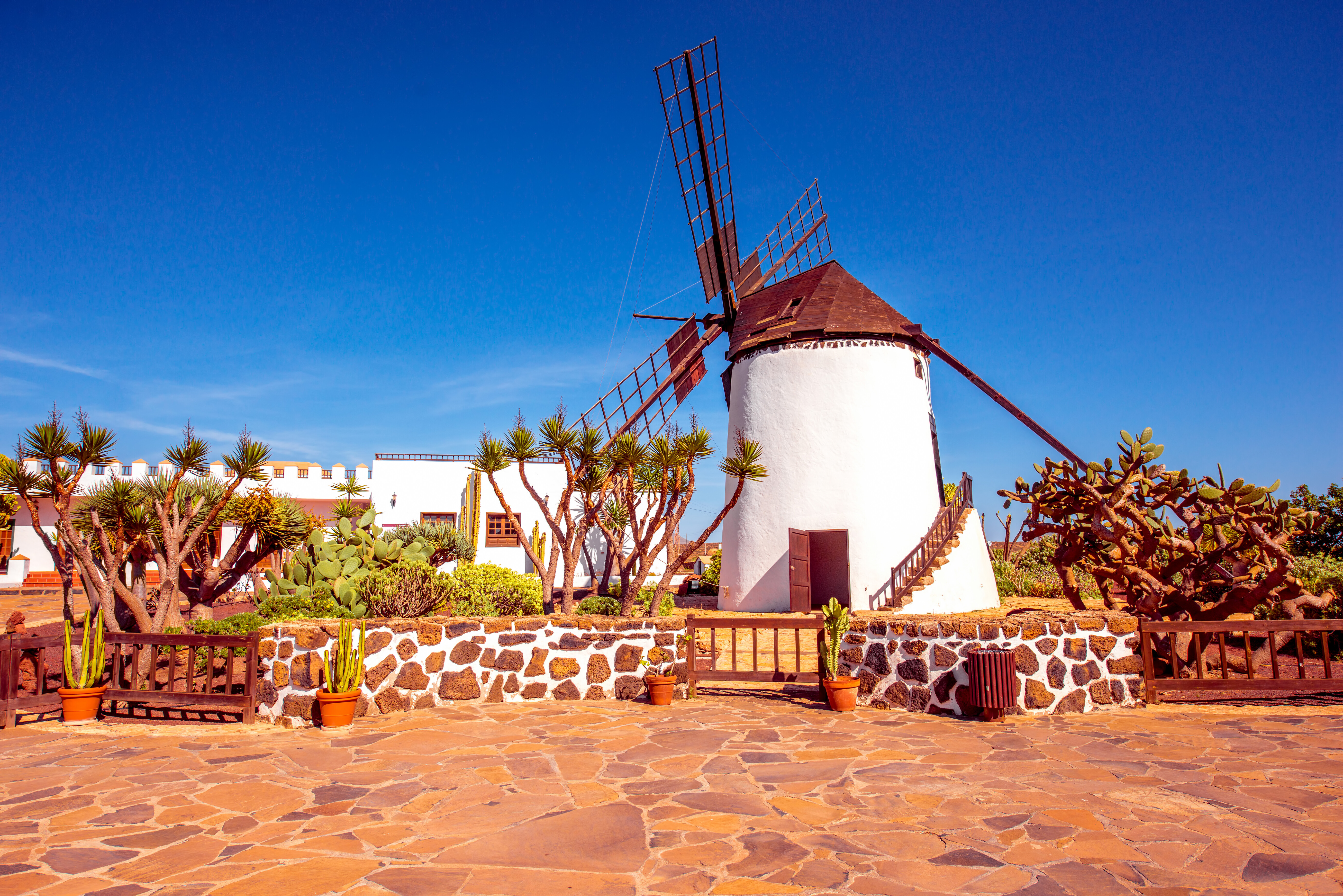 Fuerteventura: vulkanski otok, na katerem se poletje nikdar ne konča
