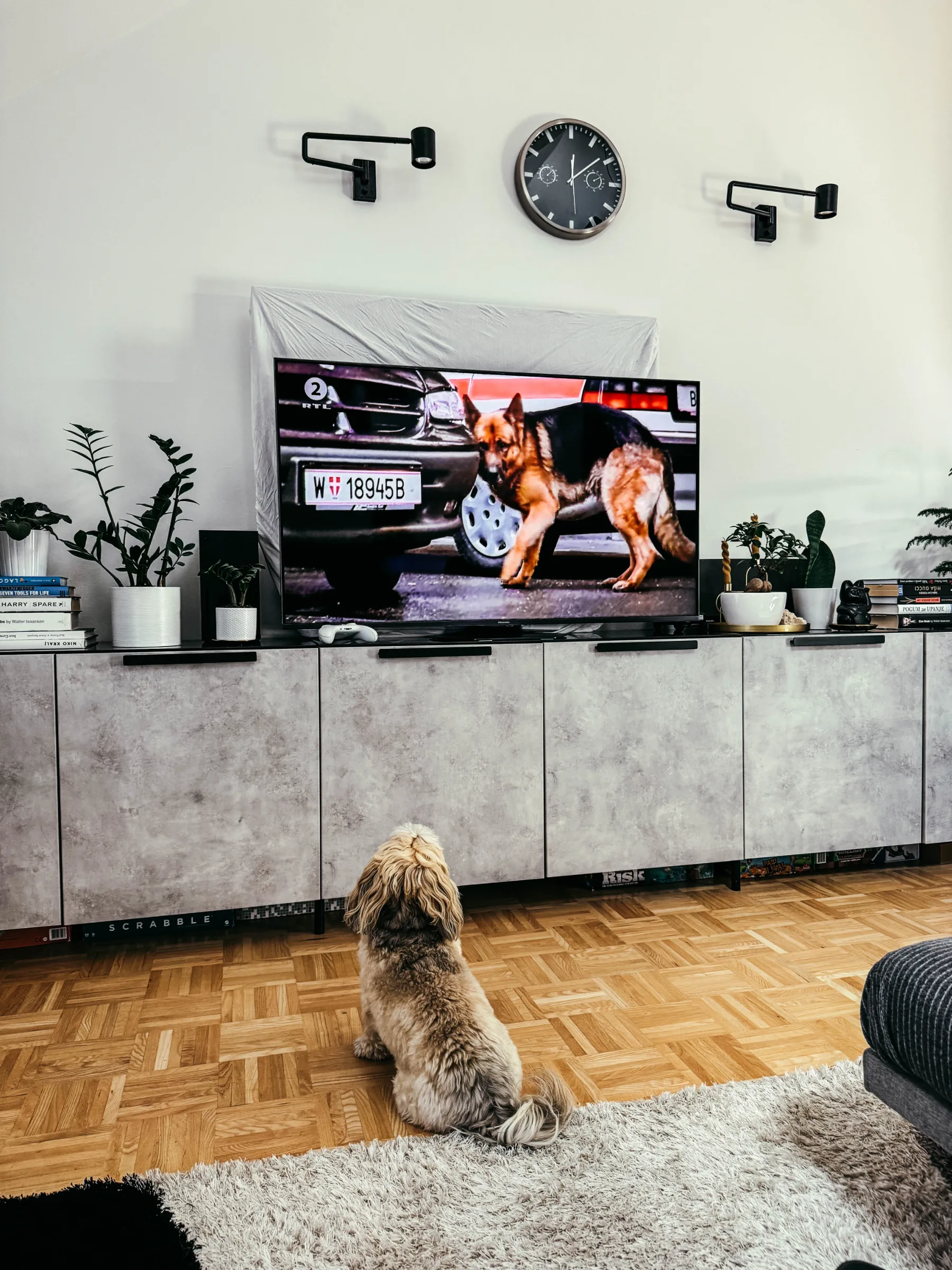 Hisense 55U8Q: vsako leto dva koraka naprej – kaj pomeni 12 mesecev razvoja v TV industriji