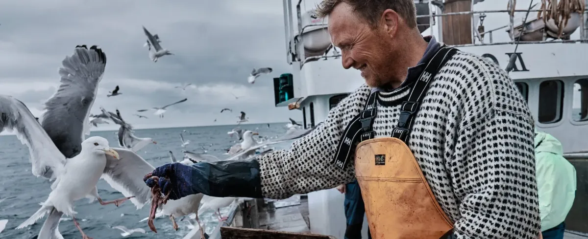 Holmen Lofoten: Kulinarično zatočišče na robu arktičnega sveta, kjer se divji fjordi srečajo z visoko gastronomijo – slika 11