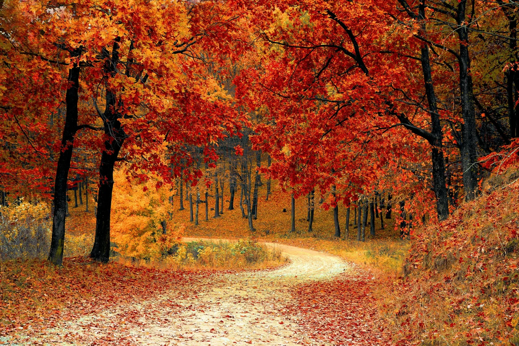 Horoskop za oktober 2024: Mesec prelomnih odločitev za vsak znak!