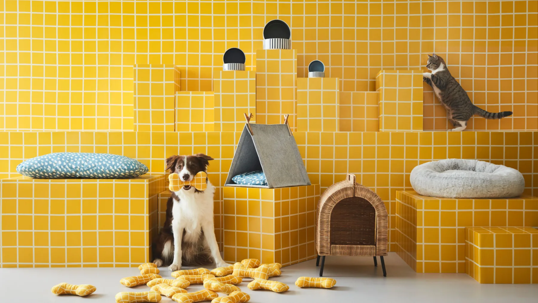IKEA kolekcija UTSÅDD za hišne ljubljenčke: kolekcija za pse in mačke, ki živijo za stil (in brikete)