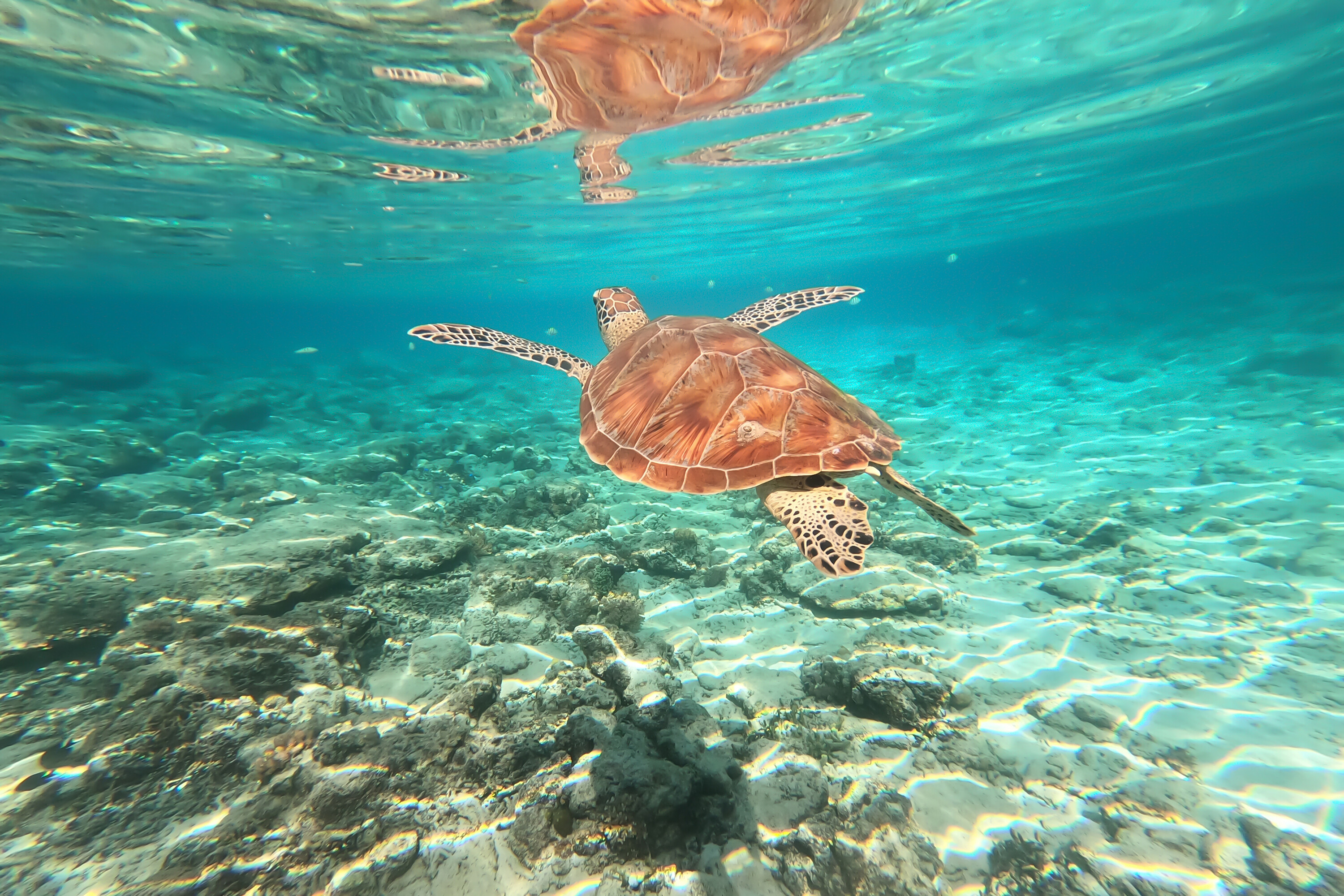Indonezijski otoki, ki so še lepši kot Bali