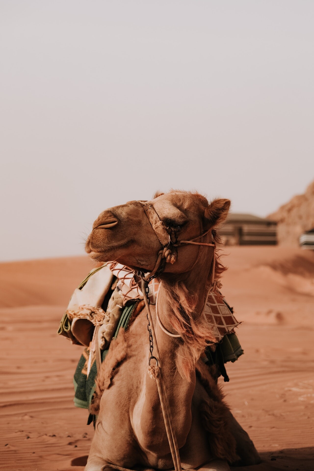 Jordanija: prenočišča sredi puščave Wadi Rum