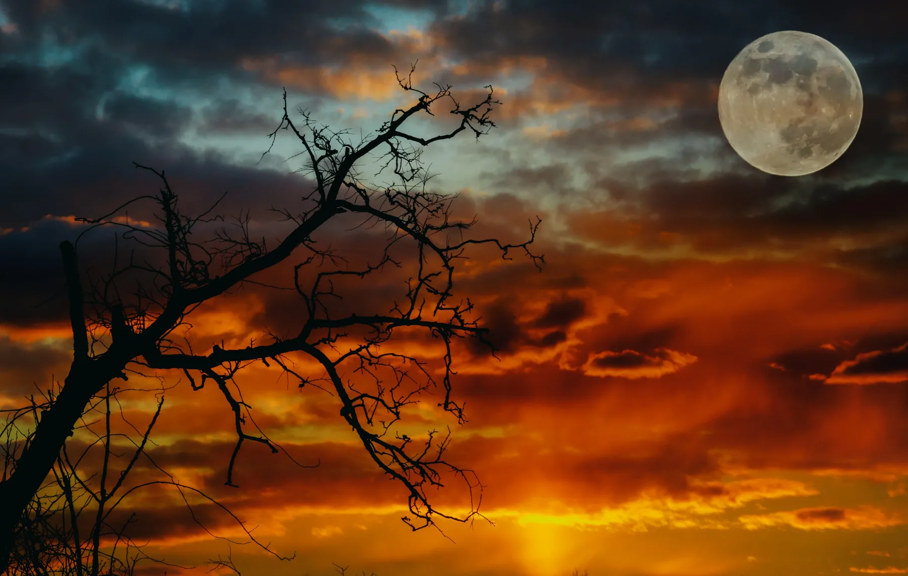 Kako bo Polna luna 17. septembra 2024 vplivala na vaše ljubezenske odnose: 4 astrološka znamenja čakajo pomembne spremembe