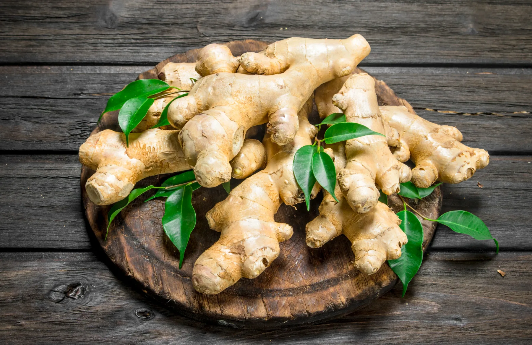 Kako ingver gojiti doma? Preprosto, cenovno ugodno in popolno za vsako kuhinjo