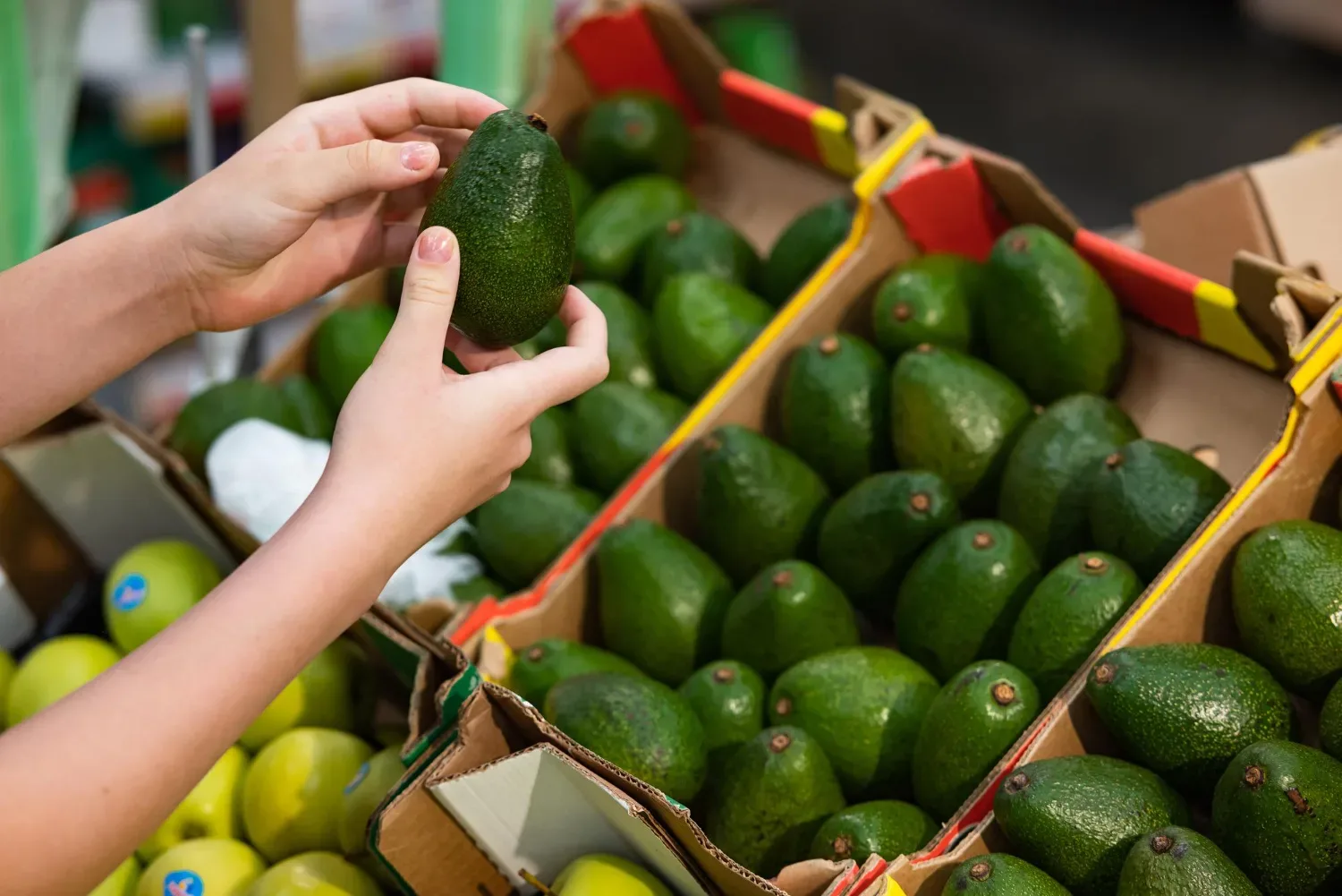 Kako izbrati popoln avokado: ta trik ti pove, ali je zrel – brez da ga prerežeš!