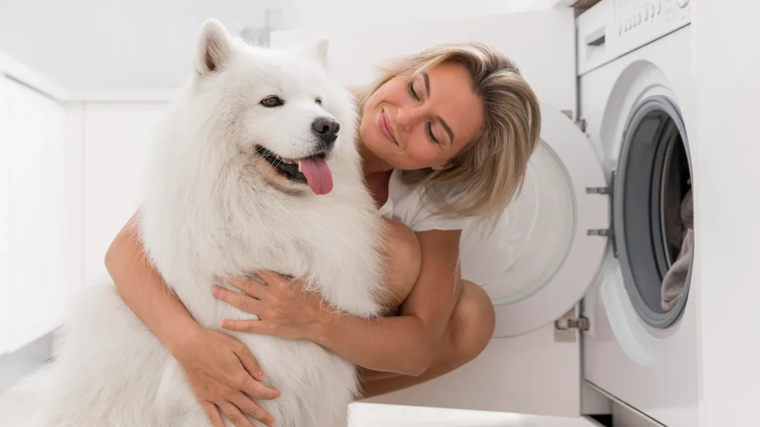 Kako pogosto moraš prati pasjo posteljo? Veterinarji opozarjajo: nevarnost preži tudi nate!
