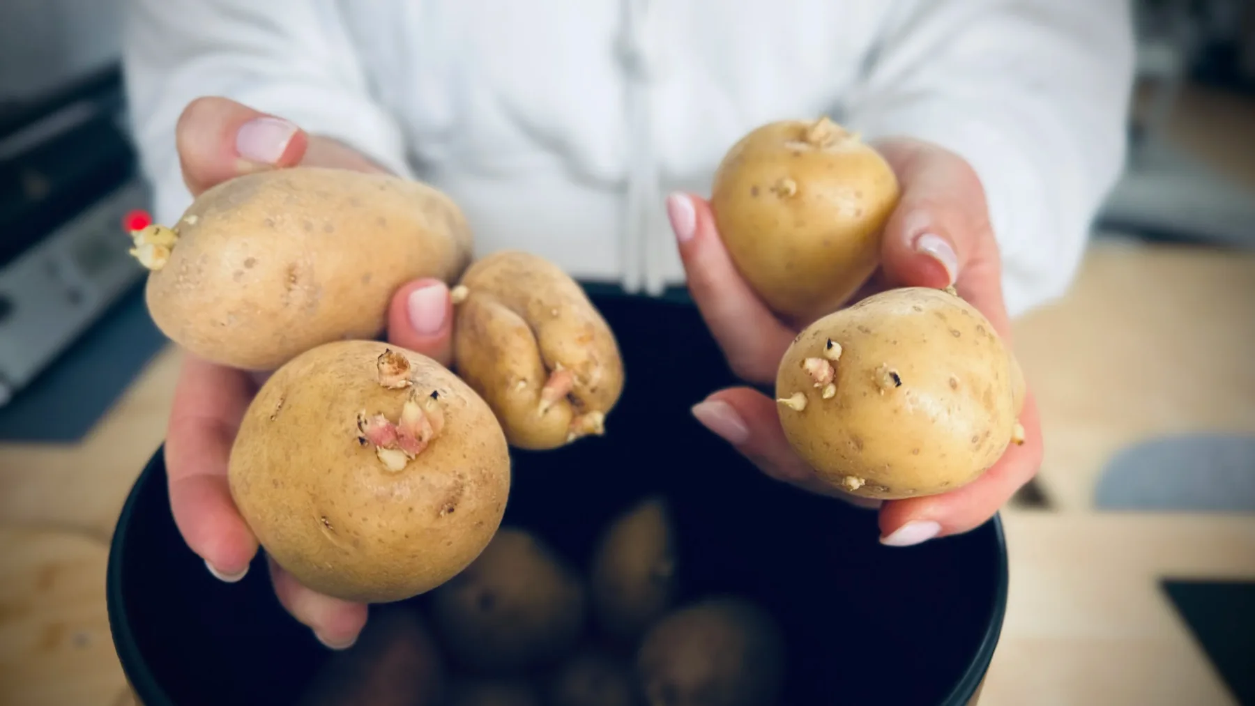Kako preprečiti kaljenje krompirja: Shranite ga skupaj s tem živilom!