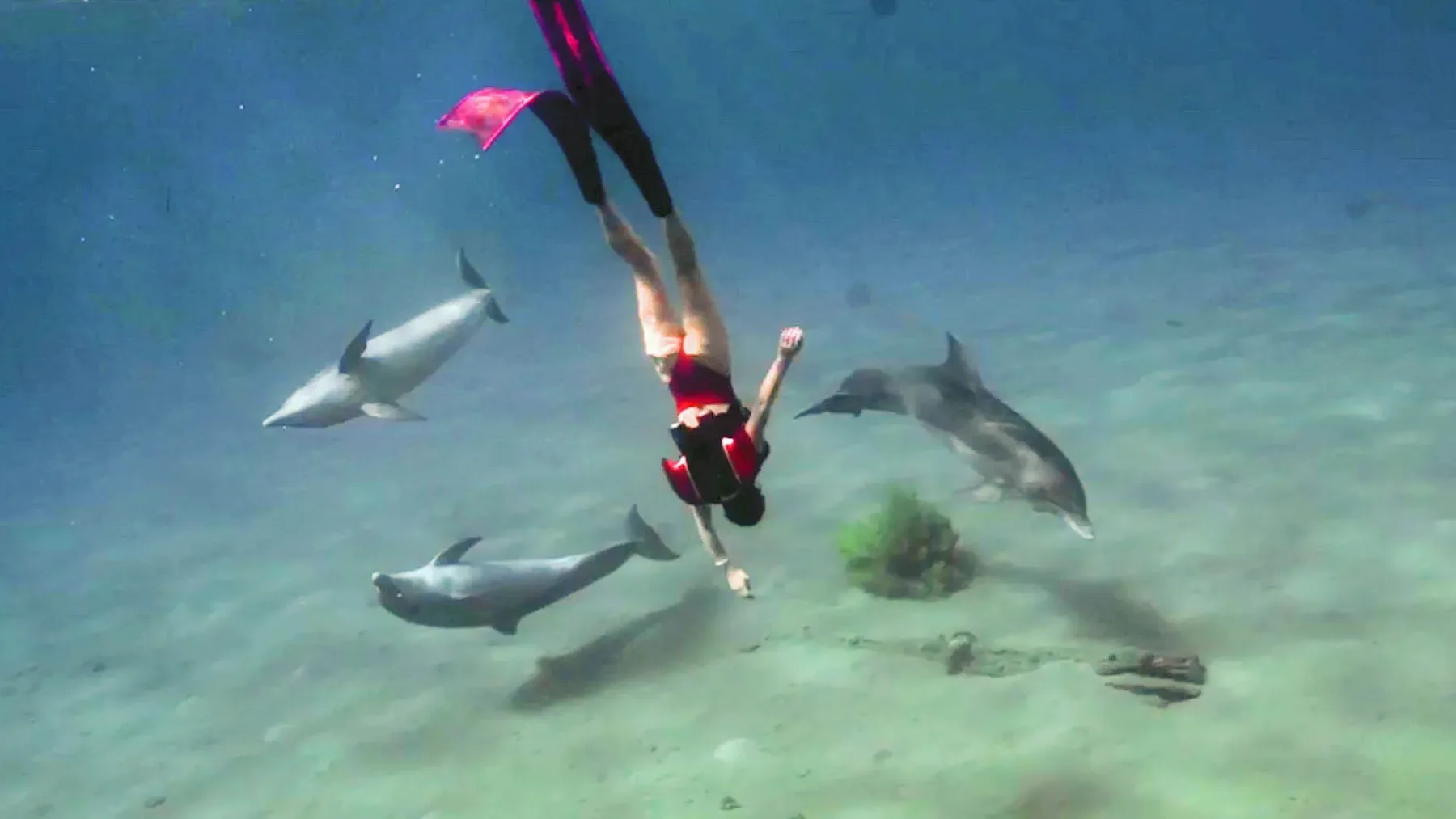 KikFin Shark Underwater Jet Pack – podvodni raketni nahrbtnik, ki vas spremeni v morskega psa