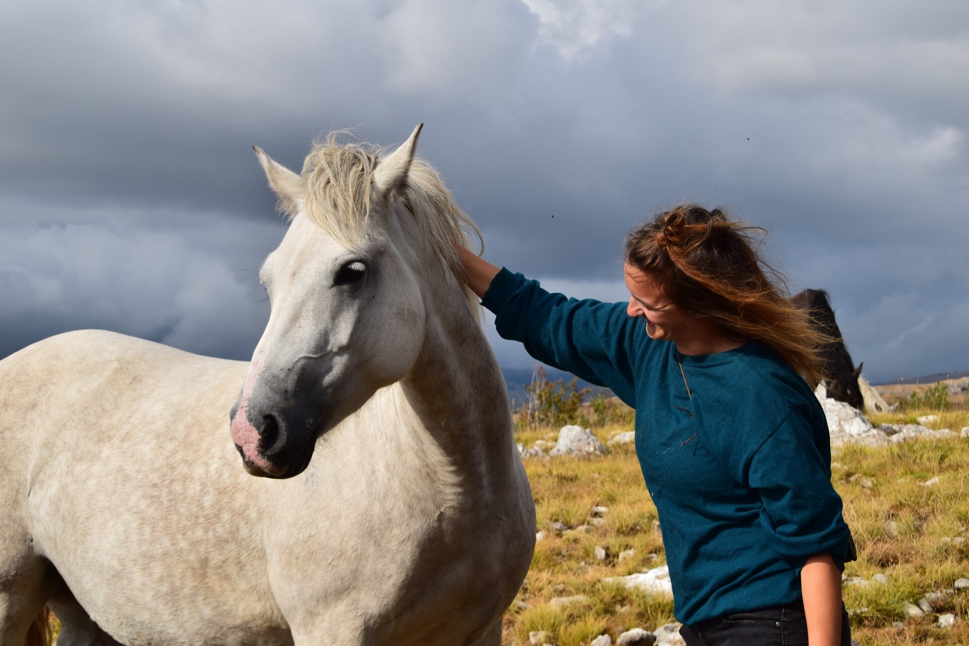 Livno: safari z divjimi konji