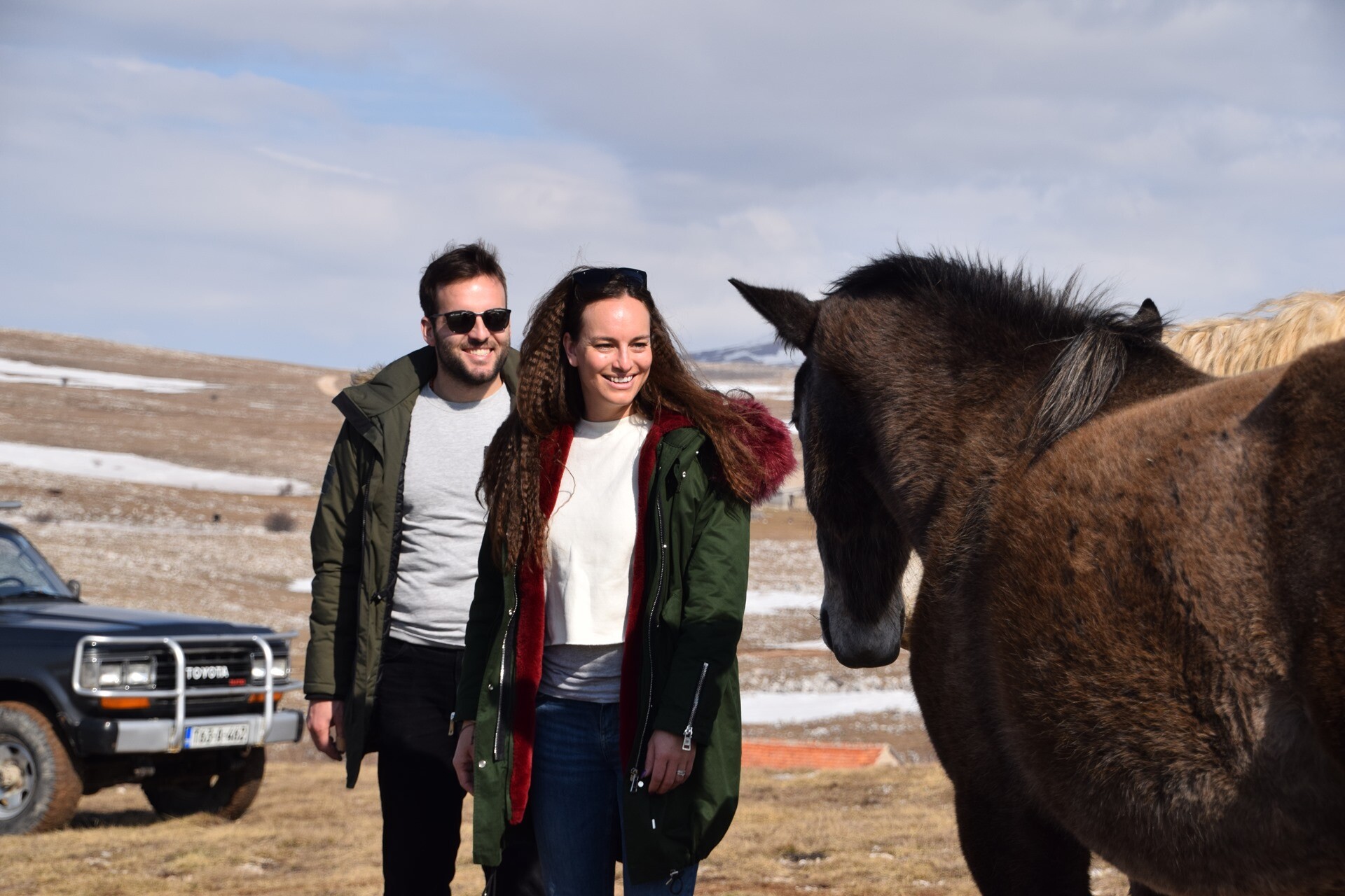 Foto: livnowildhorses.com