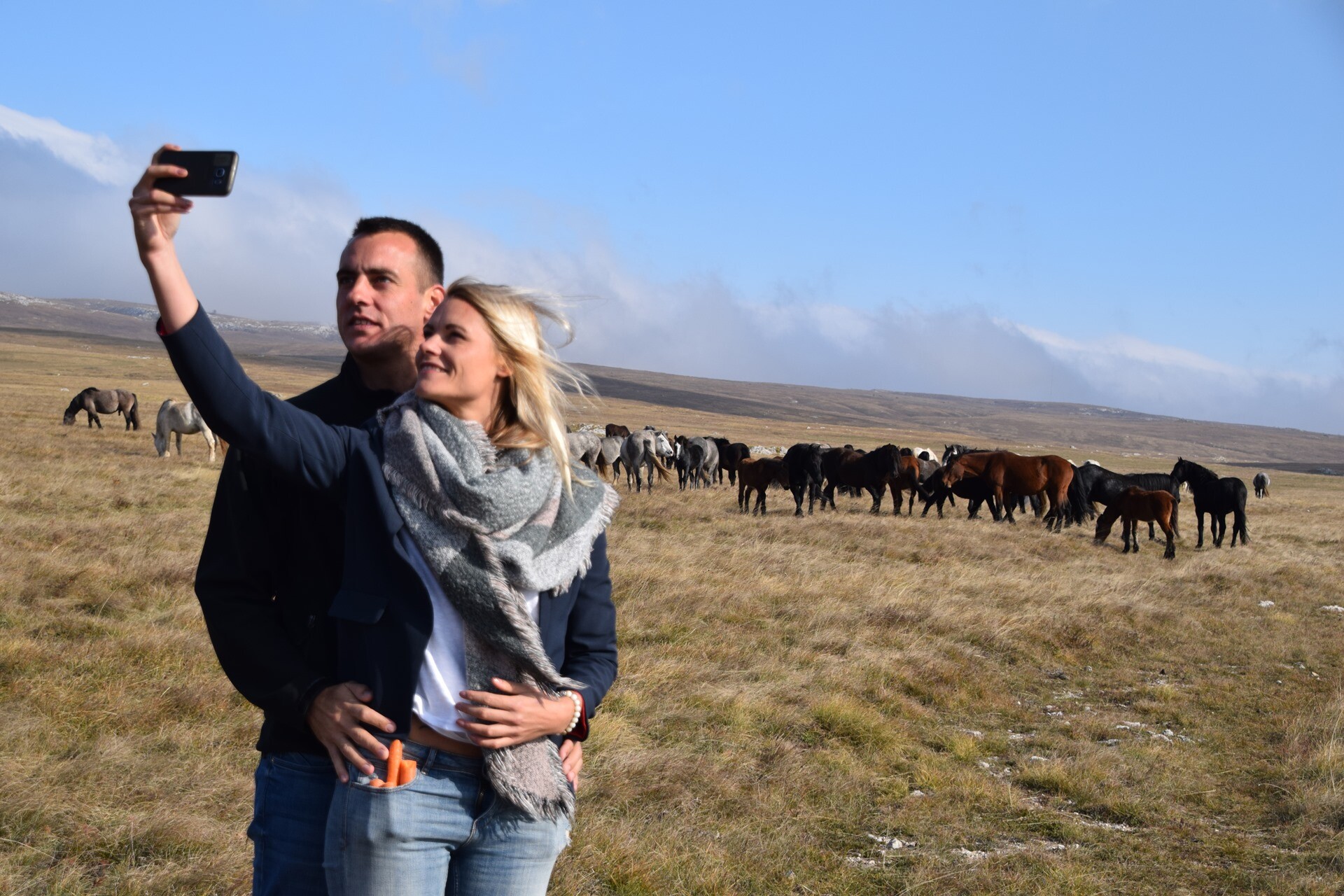 Foto: livnowildhorses.com