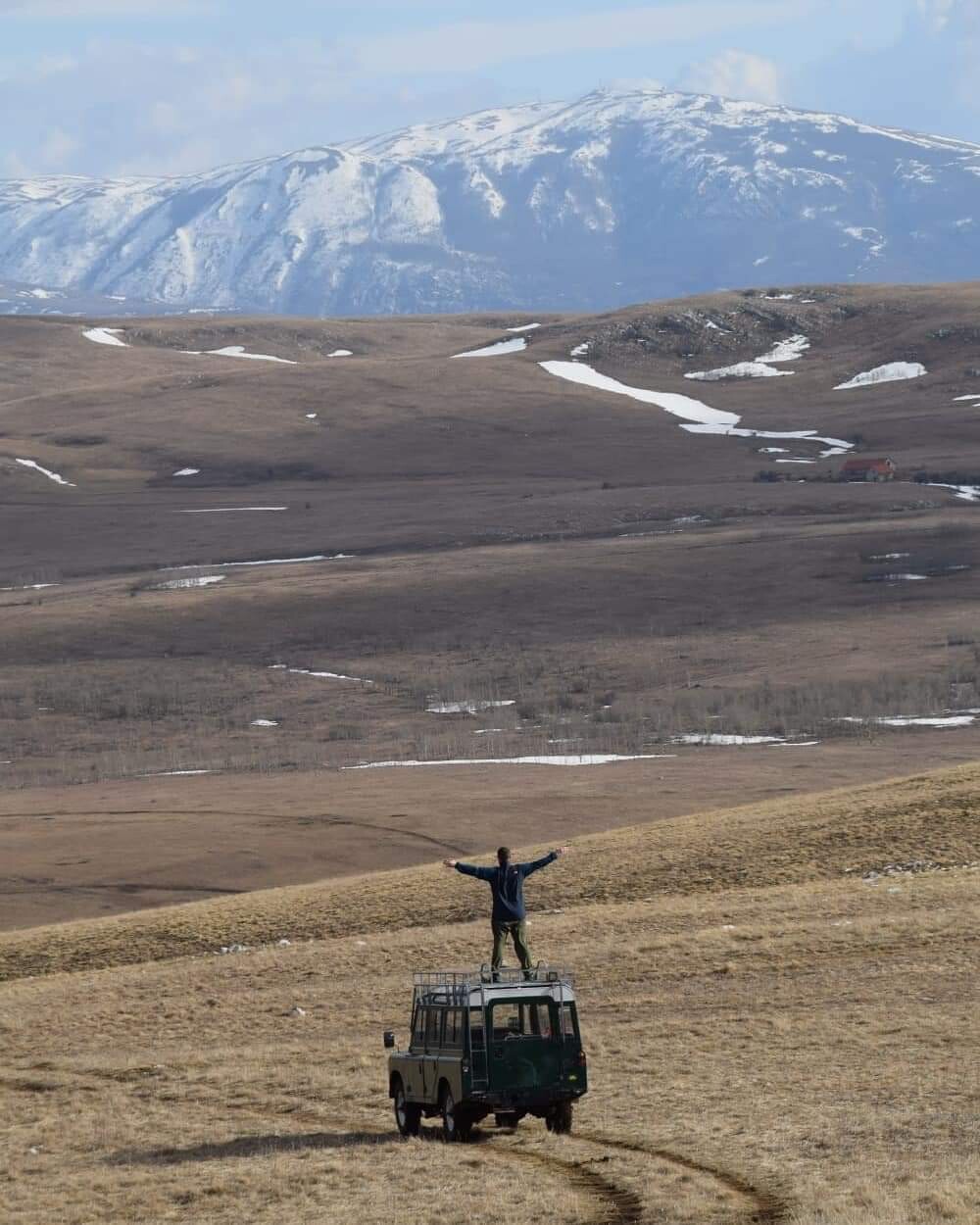 Foto: livnowildhorses.com