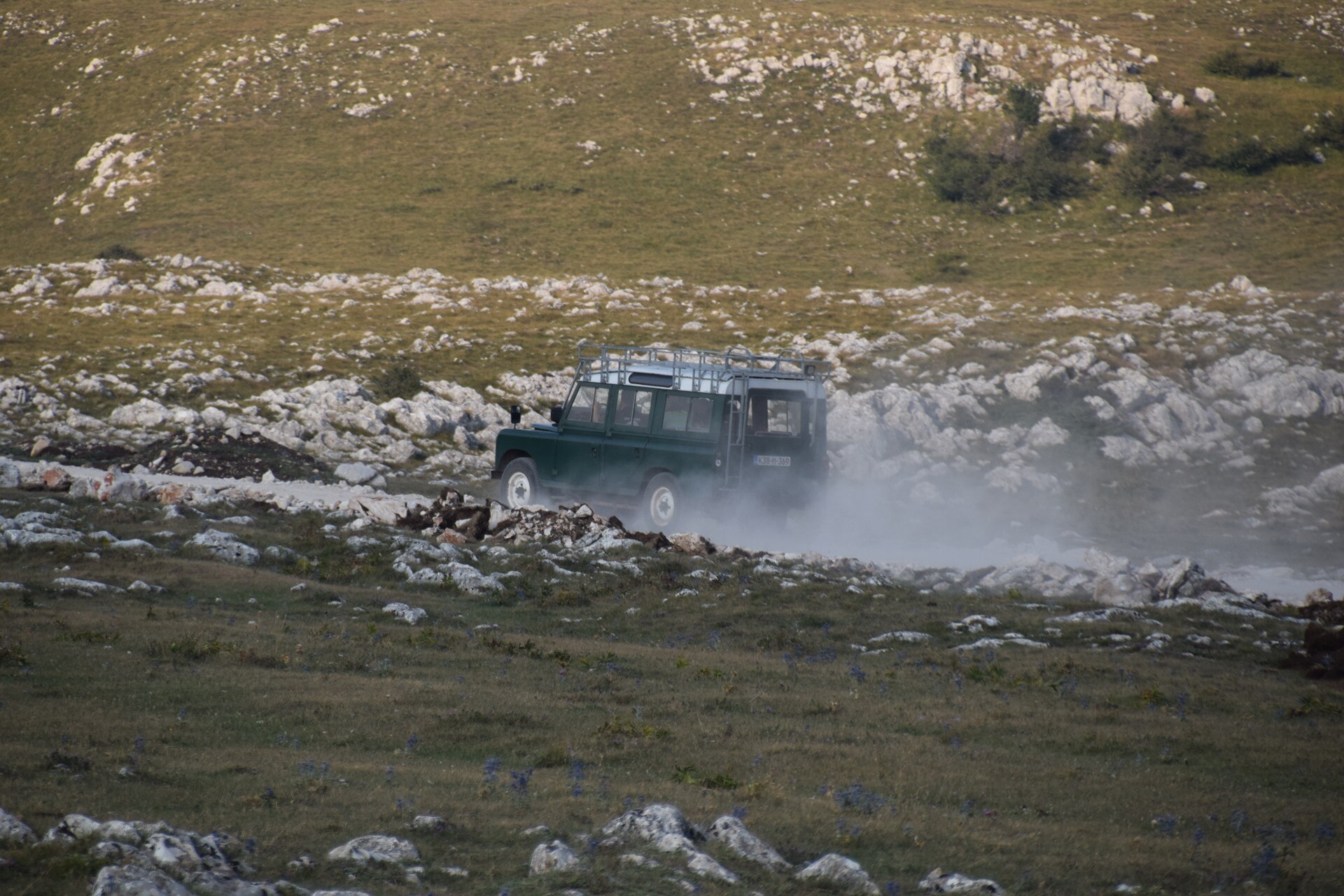 Foto: livnowildhorses.com
