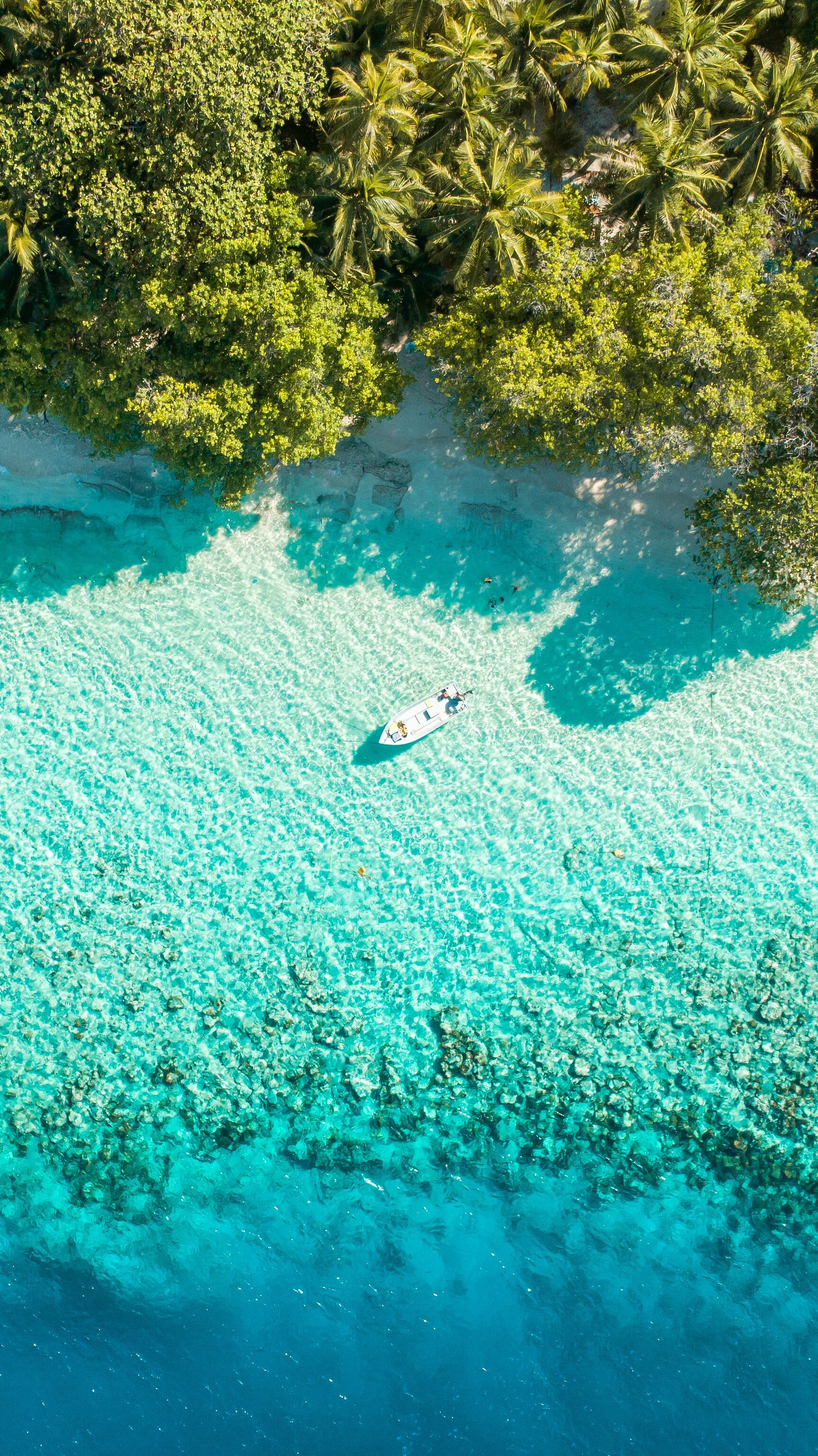 Maldivi: zakaj so Maldivi v koronavirusnih časih postali turistična oaza?