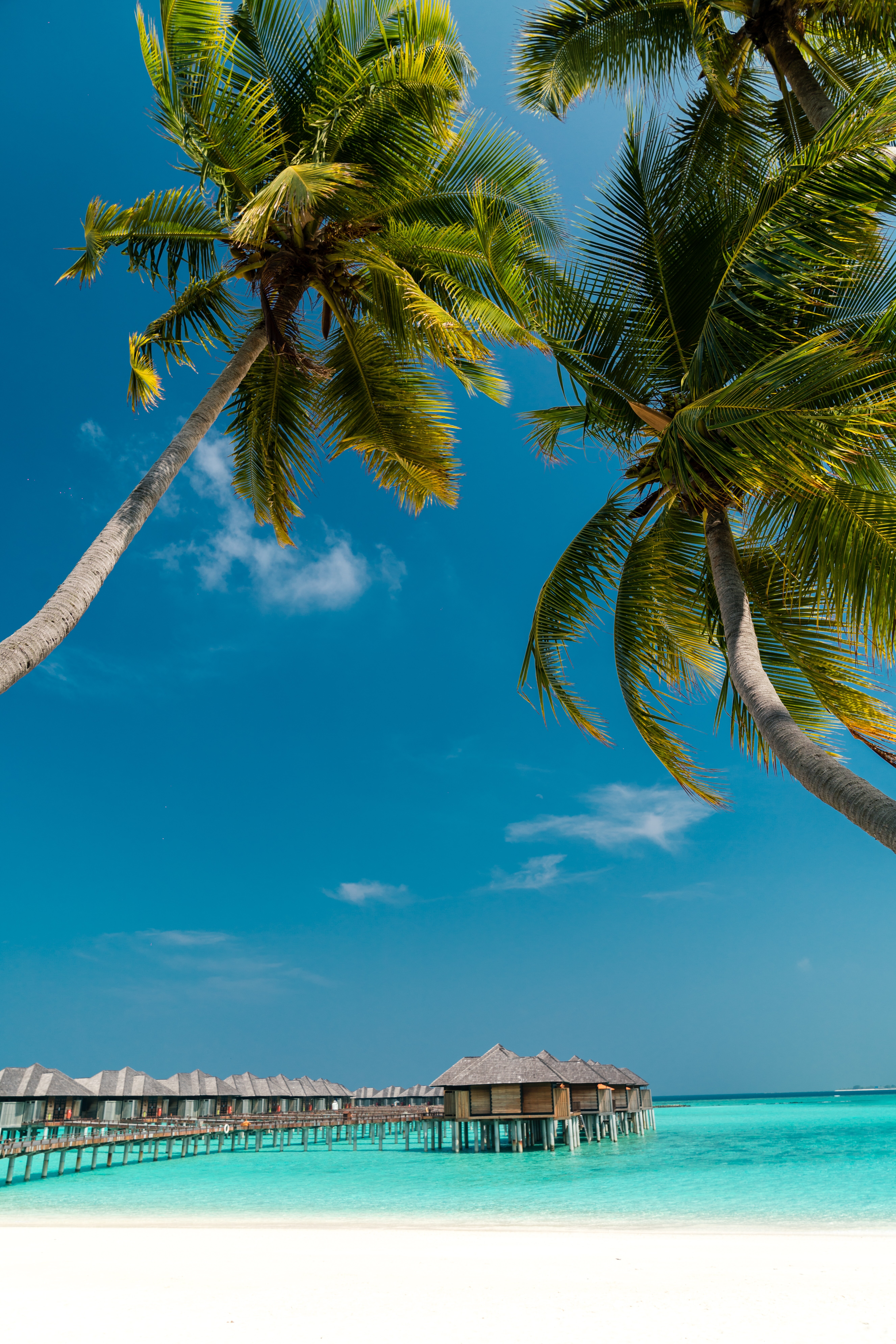 Maldivi: zakaj so Maldivi v koronavirusnih časih postali turistična oaza?
