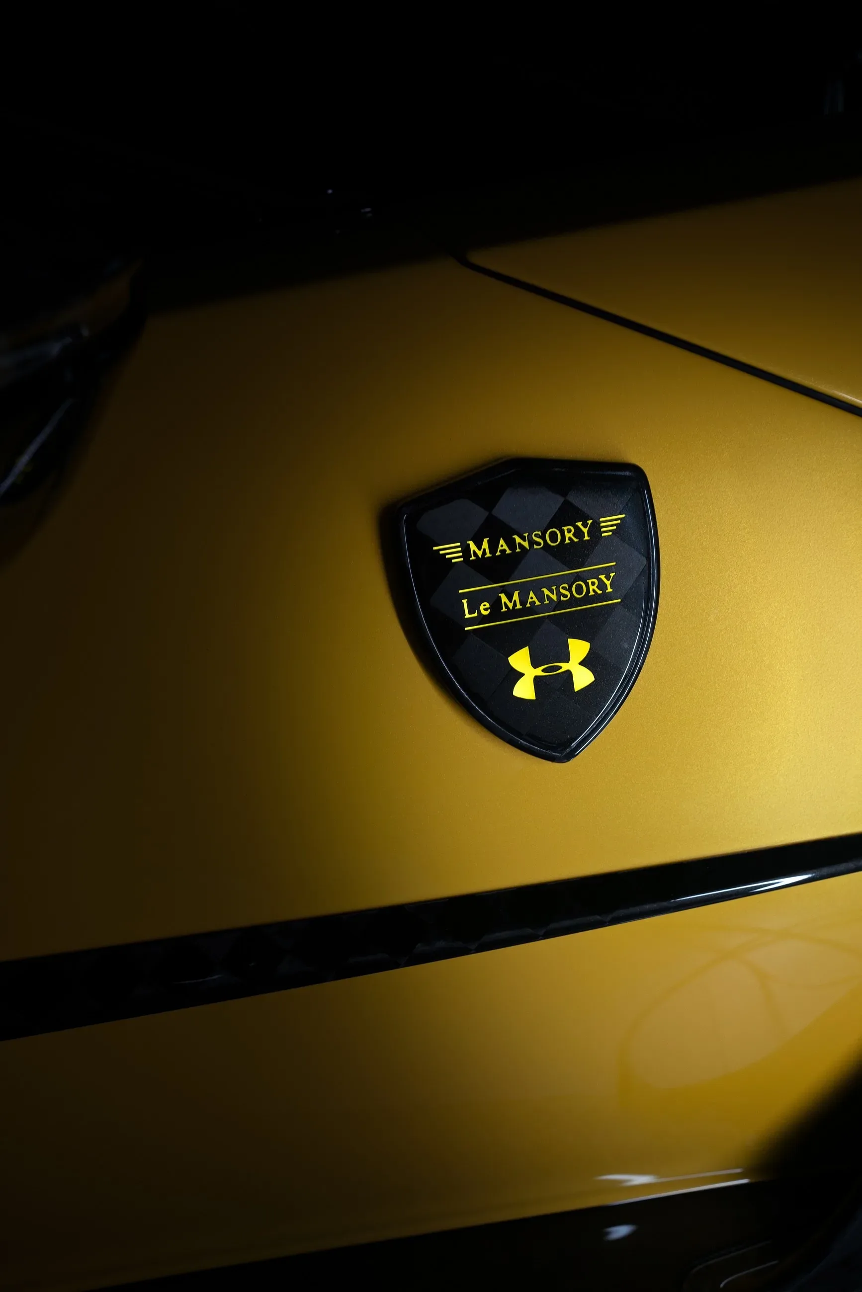 Mansory x Under Armour Le Mansory Ford GT – ko se hypercar in superzvezda srečata na cesti