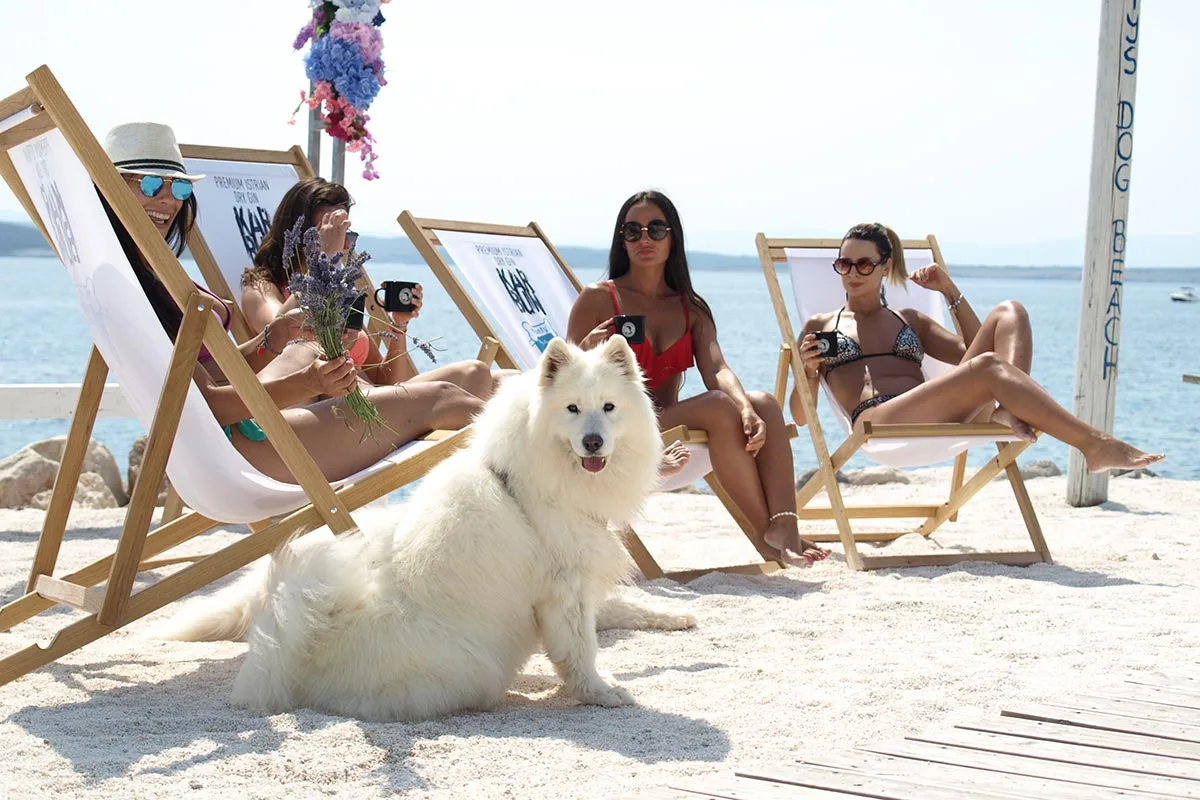 Monty’s Dog Beach: Najbolj luksuzne in prisrčne pasje plaže na Jadranu