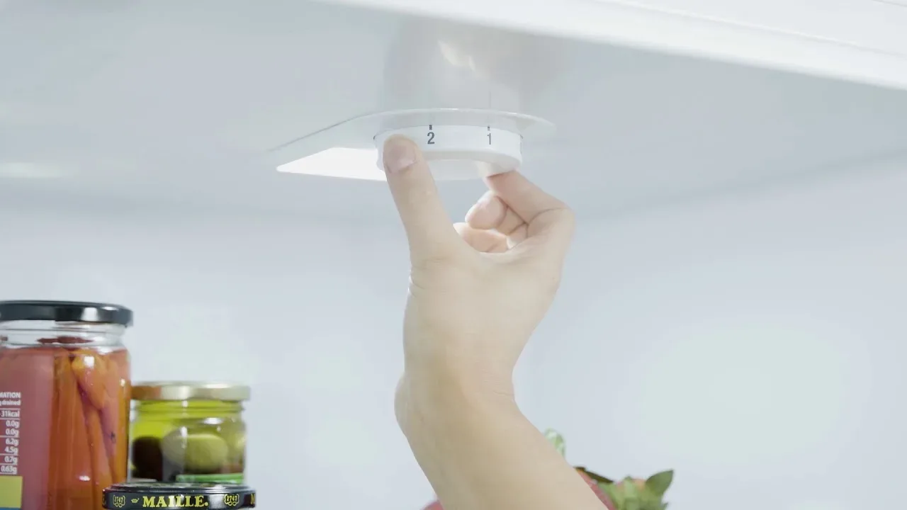 Na katero temperaturo nastaviti termostat v hladilniku? Triki za manjšo porabo električne energije in daljšo svežino živil